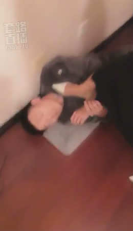 ynekdekgyxz.jpg