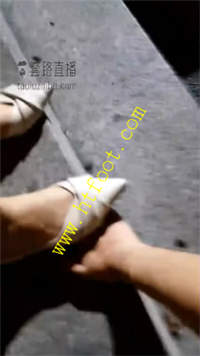 pnvinpunavh.jpg
