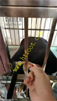 hhrt5xg32wz.jpg