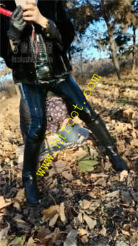 pgl2xooy5jr.jpg