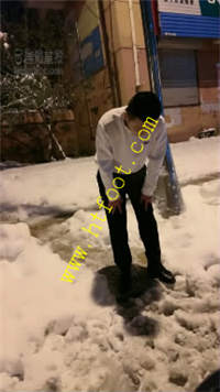 strp53i1fis.jpg
