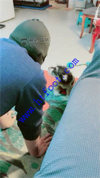 1hhtqi1teej.jpg