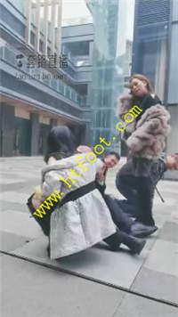 fly5c5zqbs2.jpg