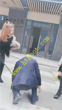 caifiizuohu.jpg