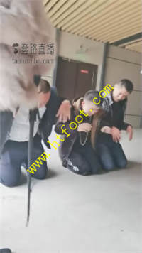 v4jcii0gnnn.jpg