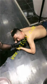 zd5licajc1s.jpg
