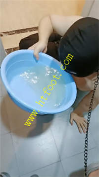 d0echef1rum.jpg
