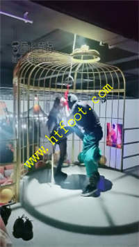 stlzgcvclh5.jpg