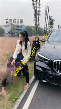 tdcquz32eis.jpg