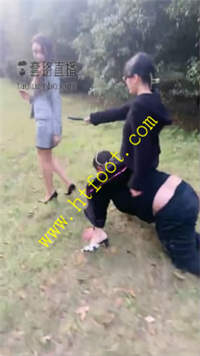 wllwivvvgzm.jpg