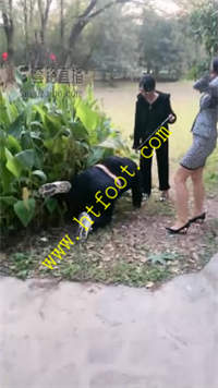 mwwoqtehi31.jpg