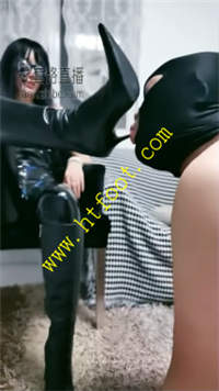 hibintwcir4.jpg