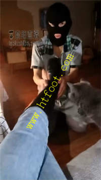 s3qxxkhblpu.jpg