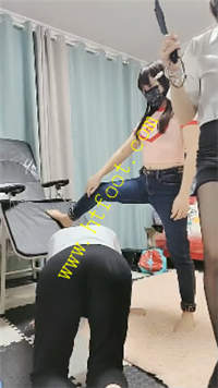 zqqqdroyry2.jpg
