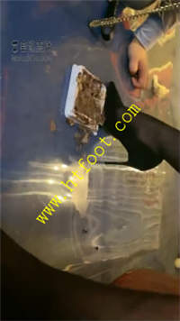 dp4wd3g5lji.jpg