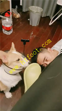 tdoitbfjmkl.jpg