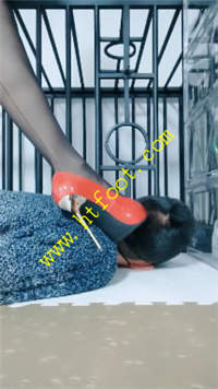 xghoiired10.jpg