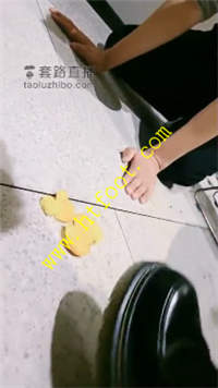 4i4ppt5cvlm.jpg
