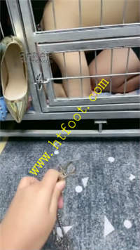 23ri43ar1p3.jpg