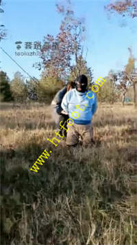 5v41muynvxg.jpg