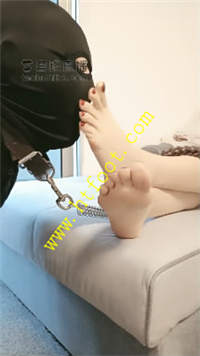 pvba42pv4jk.jpg