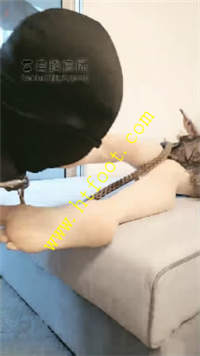 giyokmlyg3b.jpg