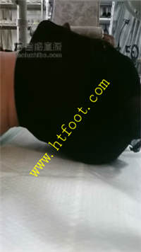 r2tzo051ptc.jpg