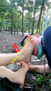 qmg3x31qsg2.jpg