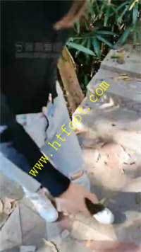 xd5k05upa0w.jpg