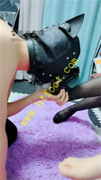 gszkpzdwy0r.jpg