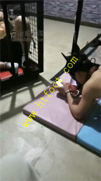 3h55myhs5ms.jpg