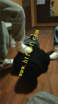 2rtov5xatkr.jpg