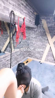 mv1155q55os.jpg