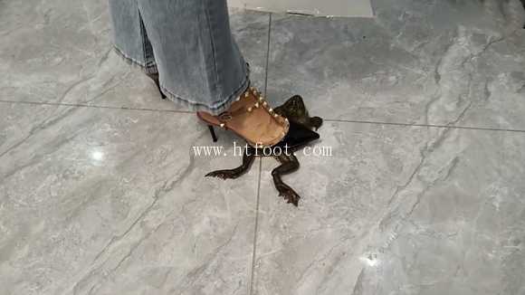 joxida0dbrx.jpg