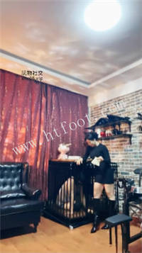 31hq552l1ep.jpg