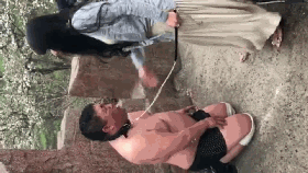 ms5tynza3fo.gif