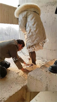 el3azlnzx03.jpg