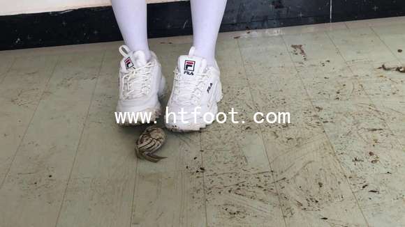 2zgjlqc4ixs.jpg