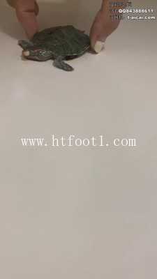 s35rp2hihqk.jpg