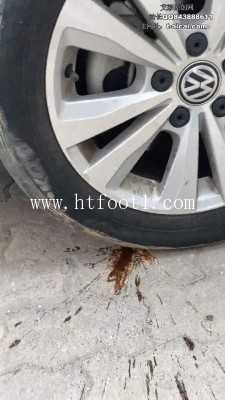 3q24v5405tl.jpg