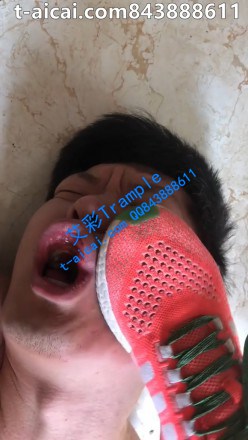 2buczzmwujt.jpg