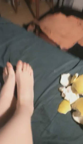 xwcwissndh2.jpg