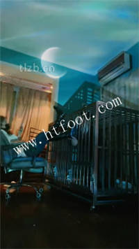 1vo02aq12qh.jpg