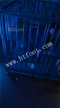 zr5rj24ieii.jpg