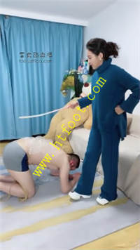 l2psebib33r.jpg
