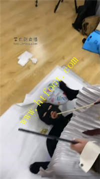 veyvia13m4e.jpg