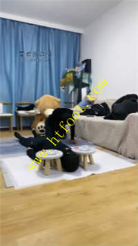 e3jltf32i02.jpg