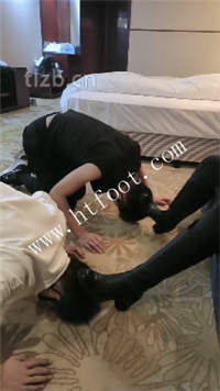 t2ap4zur4hq.jpg