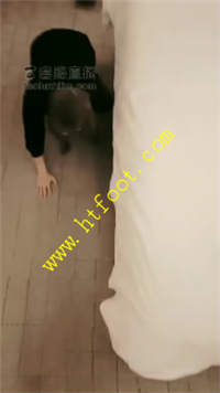 s14hqadiolo.jpg