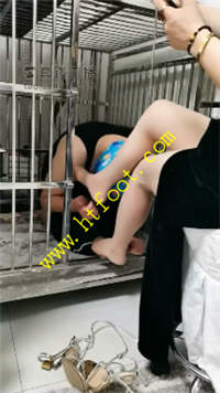 yl4o51u3rjn.jpg